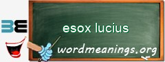 WordMeaning blackboard for esox lucius